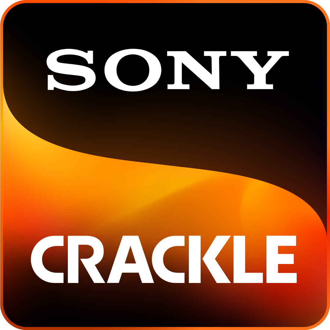 Sony brand logo 02 vinyl decal